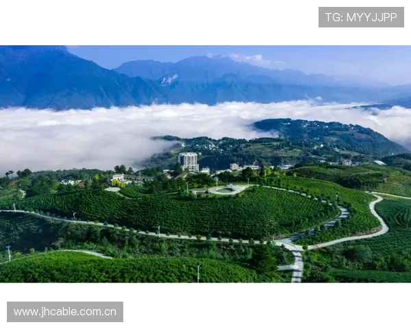 2025丹巴美人谷选美大赛初赛精彩启幕各地佳丽竞展民族风采 2025丹巴美人谷选美大赛初赛精彩启幕各地佳丽竞展民族风采