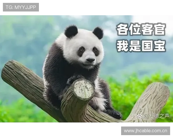 外国运动员离开成都纷纷获赠萌趣大熊猫成为最温暖告别礼物 外国运动员离开成都纷纷获赠萌趣大熊猫成为最温暖告别礼物